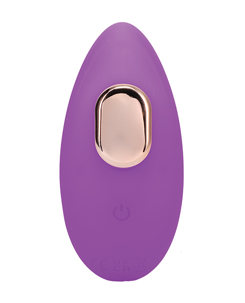In A Bag Panty Vibe with Remote