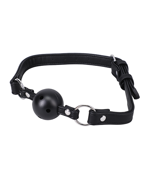 In A Bag Ball Gag