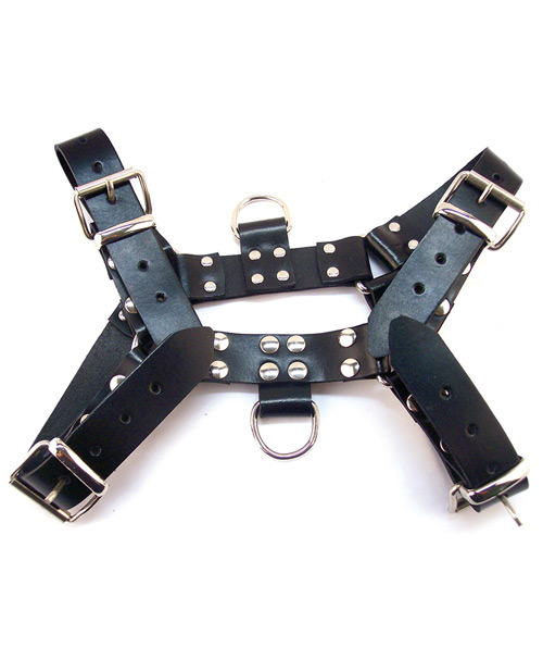 Rouge Over the Head XLarge Harness